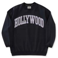 バウンサーテンジクカレッジロゴLS TEE